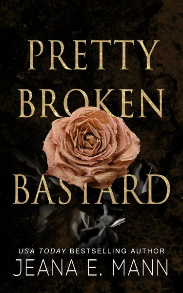 pretty broken book cover